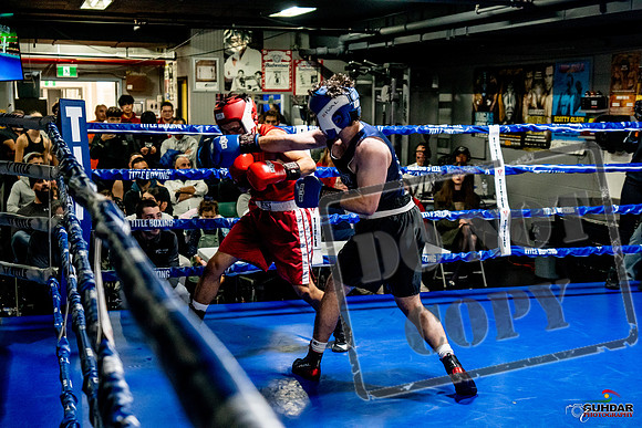 Cougar Boxing Basement Brawl -0407