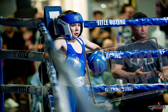 Cougar boxing June 7th 2025-0049