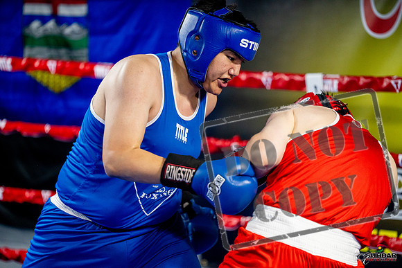 Cougar boxing June 7th 2025-0715
