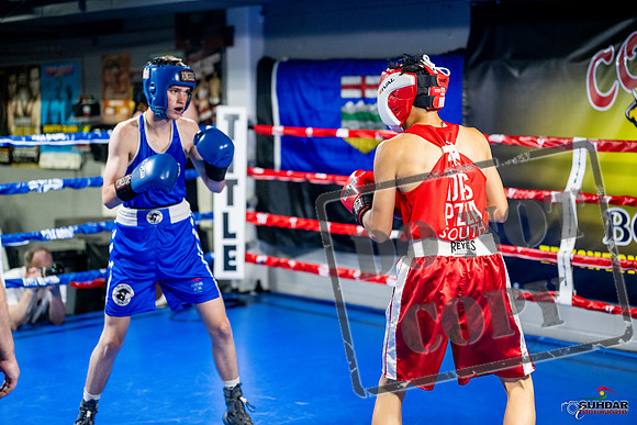 Cougar boxing June 7th 2025-0112