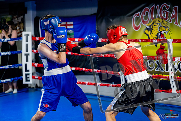 Cougar boxing June 7th 2025-0832