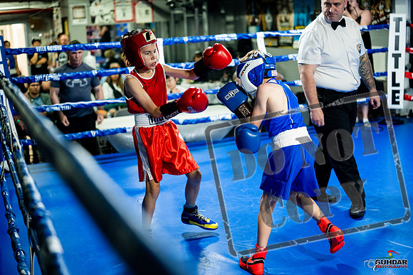Cougar boxing June 7th 2025-0059