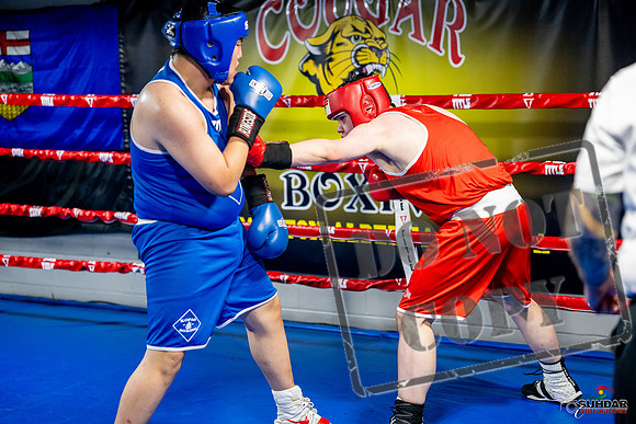 Cougar boxing June 7th 2025-0775