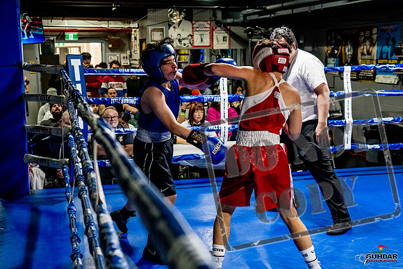 Cougar Boxing Basement Brawl -0509