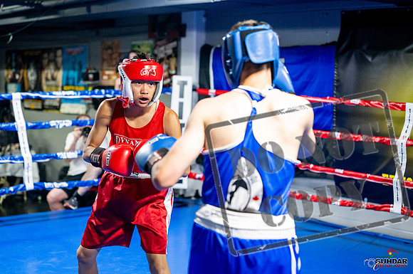 Cougar boxing June 7th 2025-0100