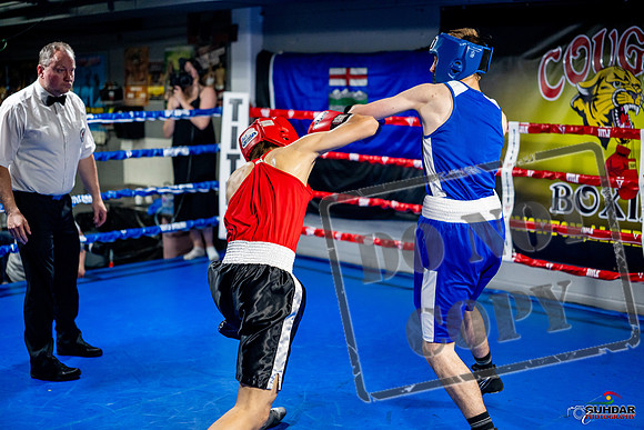 Cougar boxing June 7th 2025-0802