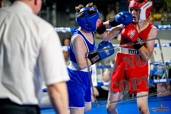 Cougar boxing June 7th 2025-0905