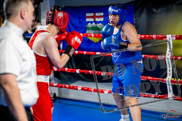 Cougar boxing June 7th 2025-0759