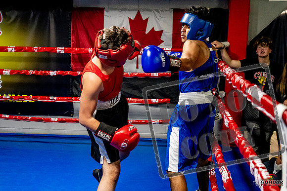 Cougar Boxing Basement Brawl -0635