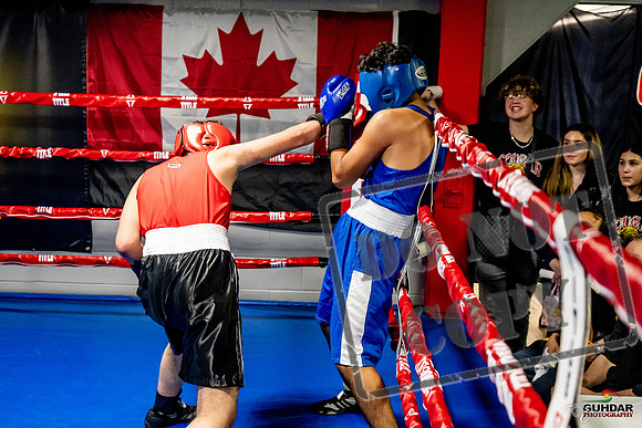 Cougar Boxing Basement Brawl -0634