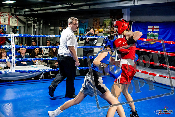 Cougar Boxing Basement Brawl -0576