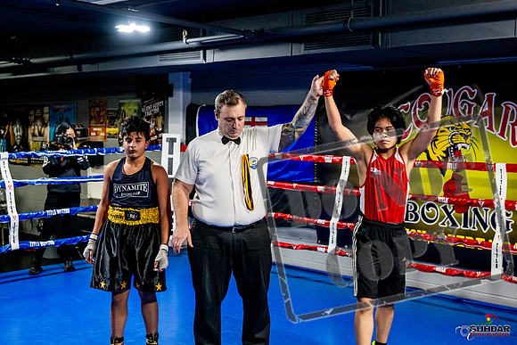 Cougar Boxing Basement Brawl -0313