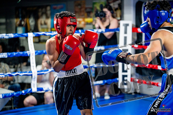 Cougar boxing June 7th 2025-0631