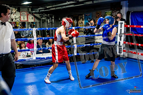 Cougar Boxing Basement Brawl -0483