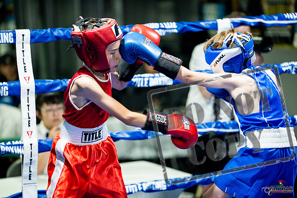 Cougar boxing June 7th 2025-0062