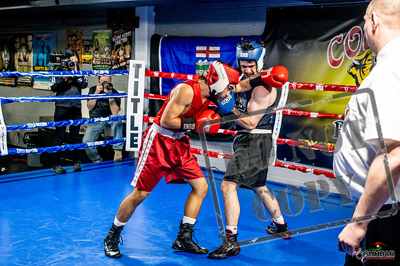 Cougar Boxing Basement Brawl -0425
