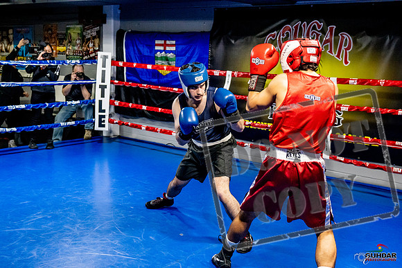 Cougar Boxing Basement Brawl -0359