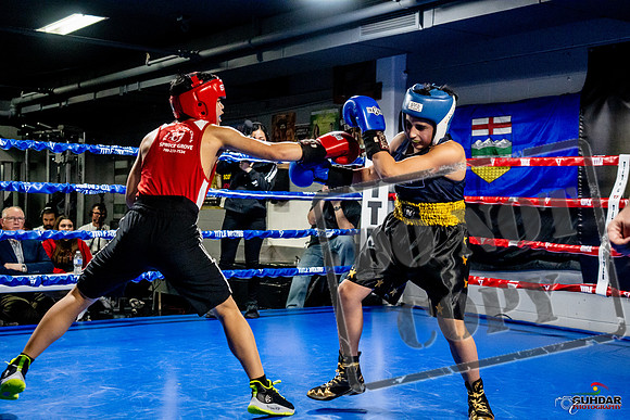 Cougar Boxing Basement Brawl -0286