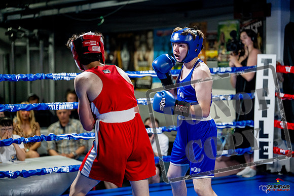 Cougar boxing June 7th 2025-0903