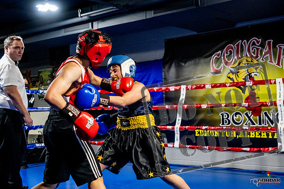 Cougar Boxing Basement Brawl -0307