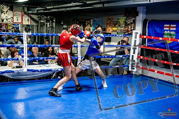 Cougar Boxing Basement Brawl -0581