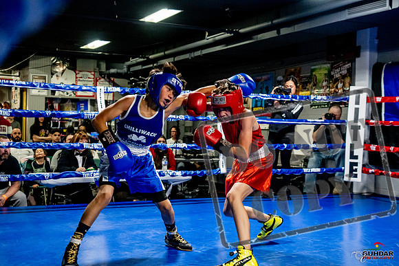 Cougar Boxing Basement Brawl -0261