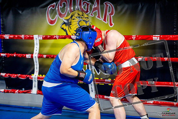Cougar boxing June 7th 2025-0737