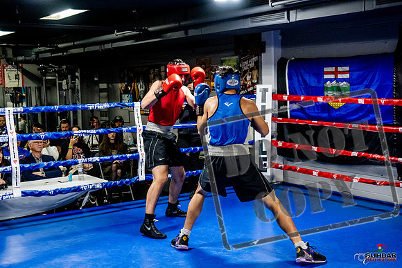 Cougar Boxing Basement Brawl -0665