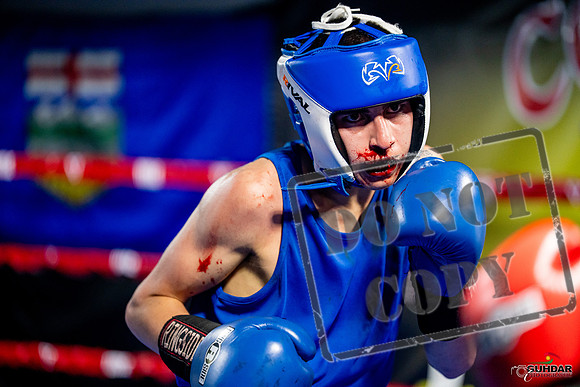 Cougar boxing June 7th 2025-0688