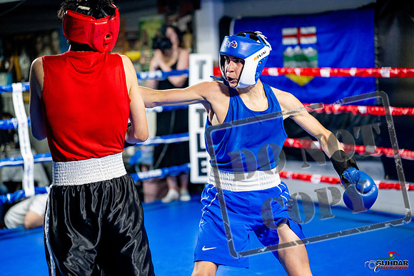 Cougar boxing June 7th 2025-0654