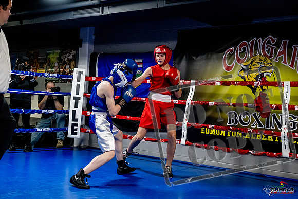 Cougar Boxing Basement Brawl -0193