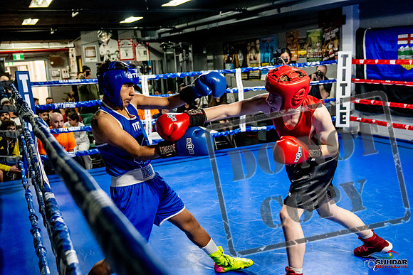 Cougar Boxing Basement Brawl -0521