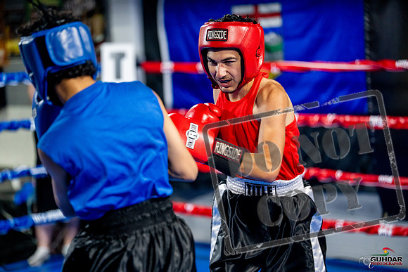 Cougar boxing June 7th 2025-0169
