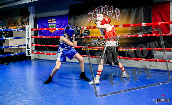 Cougar Boxing Basement Brawl -0001