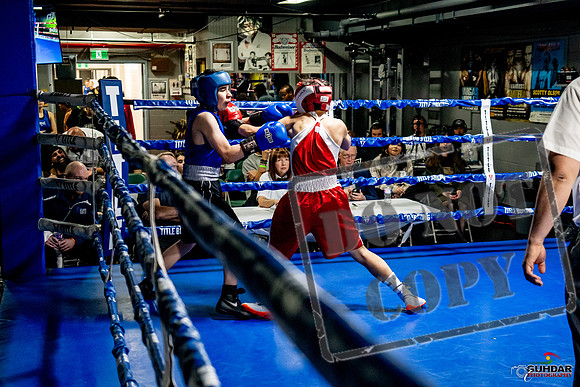 Cougar Boxing Basement Brawl -0481