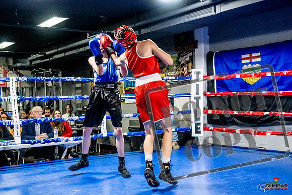 Cougar Boxing Basement Brawl -0129