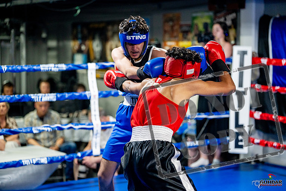 Cougar boxing June 7th 2025-0632