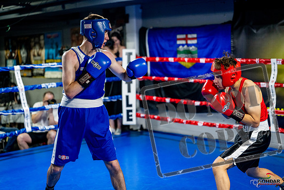 Cougar boxing June 7th 2025-0836