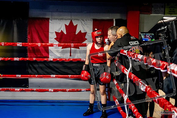 Cougar Boxing Basement Brawl -0547