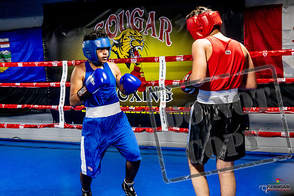 Cougar Boxing Basement Brawl -0631