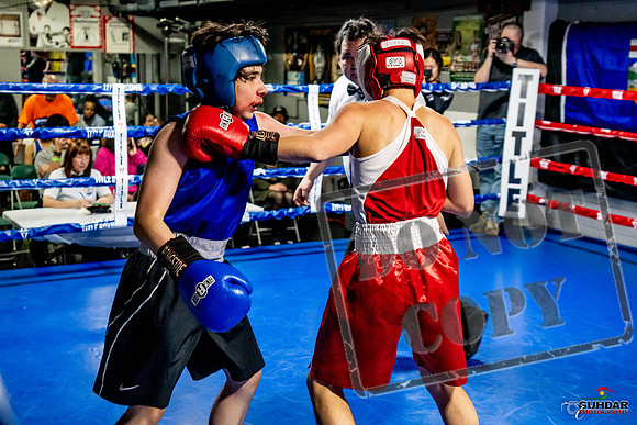 Cougar Boxing Basement Brawl -0508