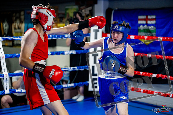 Cougar boxing June 7th 2025-0878