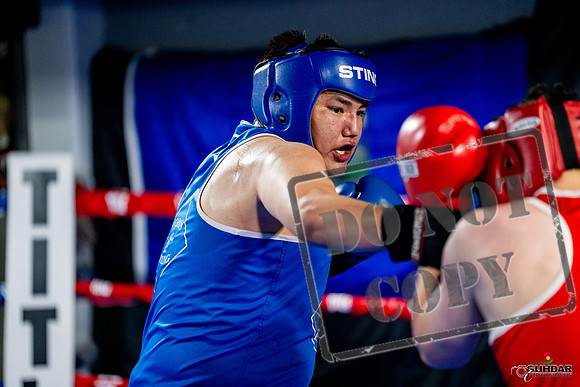 Cougar boxing June 7th 2025-0765