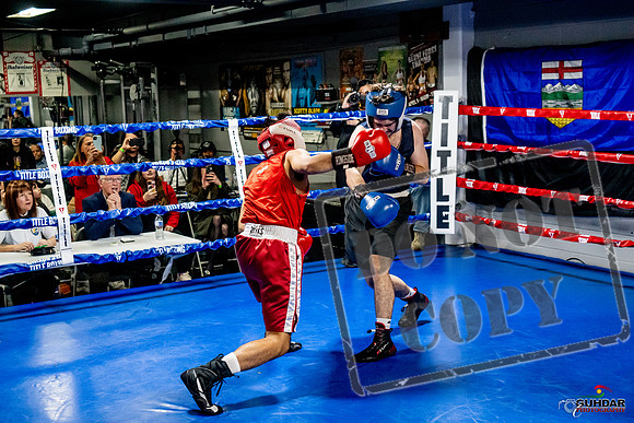 Cougar Boxing Basement Brawl -0379
