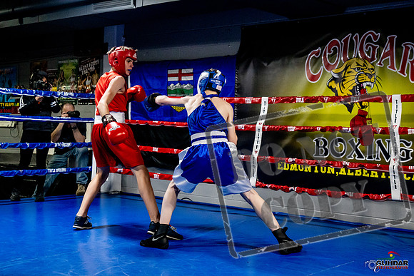 Cougar Boxing Basement Brawl -0190