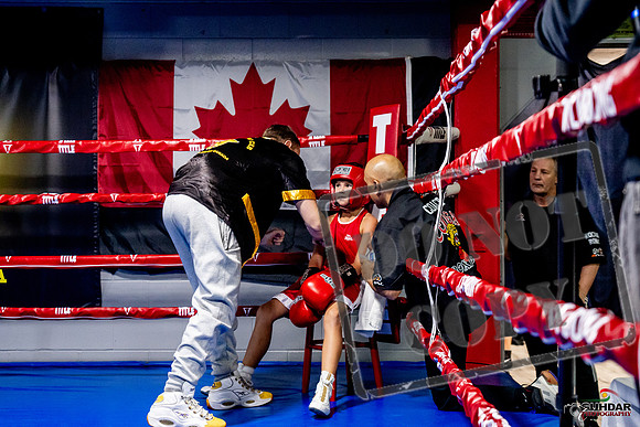 Cougar Boxing Basement Brawl -0077