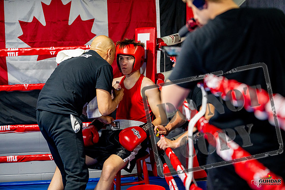 Cougar boxing June 7th 2025-0844