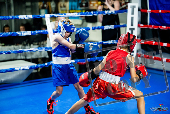 Cougar boxing June 7th 2025-0017