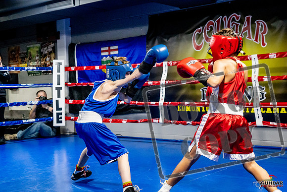 Cougar Boxing Basement Brawl -0070