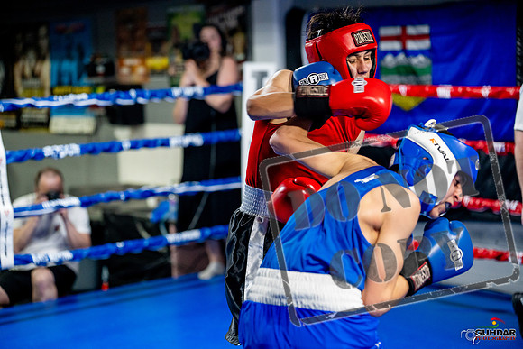 Cougar boxing June 7th 2025-0652